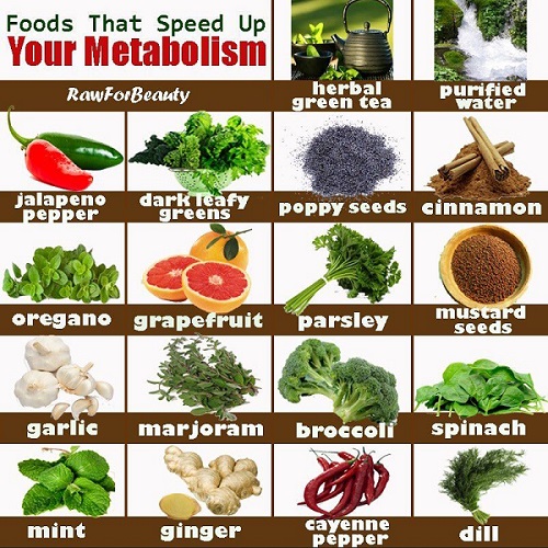 Foods that increase your metabolism - Austin Chiropractic - Dr. James Lee