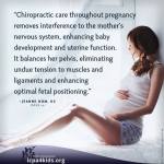 Pregnant mothers, newborns and immune systems- Austin Chiropractic - Dr. James Lee